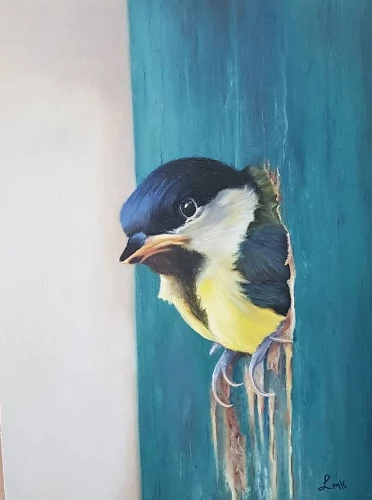 Great Tit