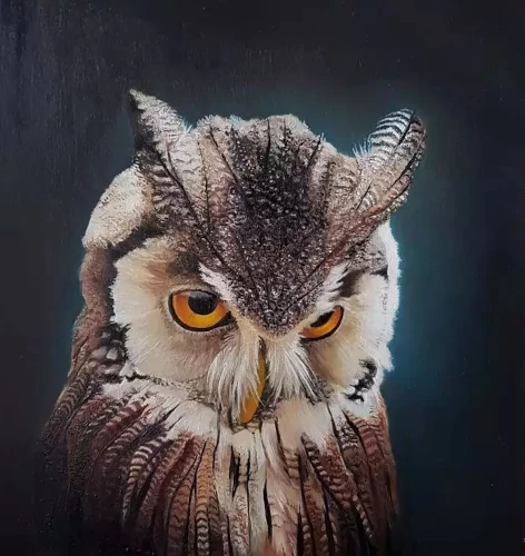 Owl